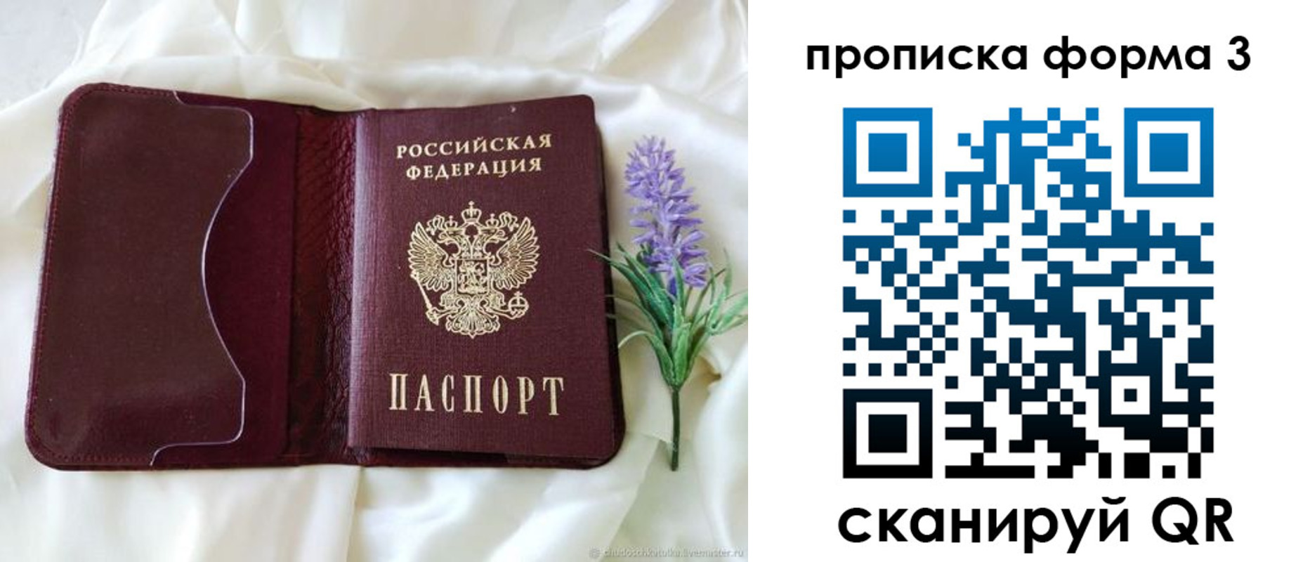 прописка 2025 в Сосновом Бору